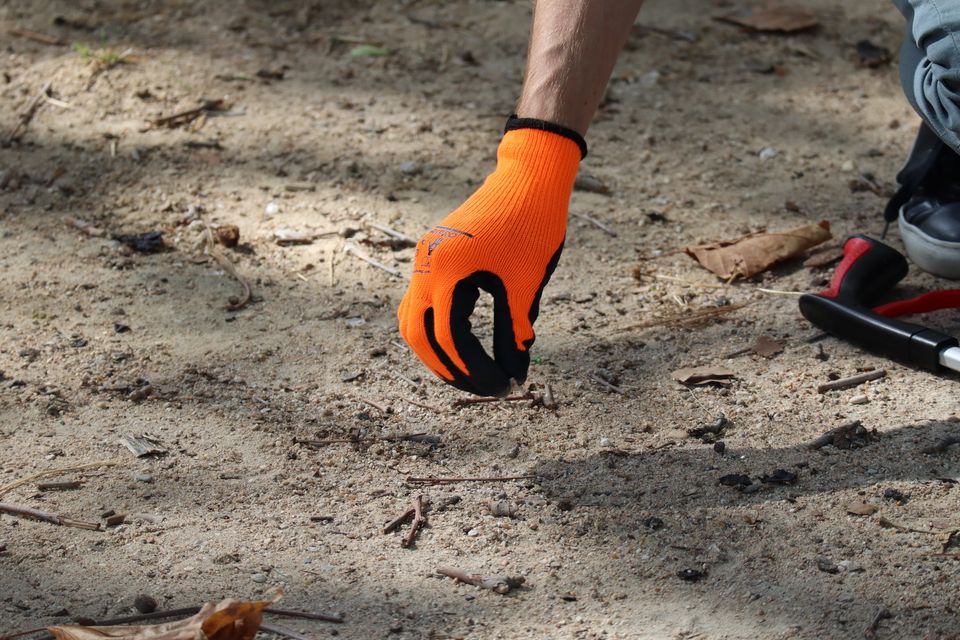 Cleanwalk du 25 février - Jardin des Champs-Elysées